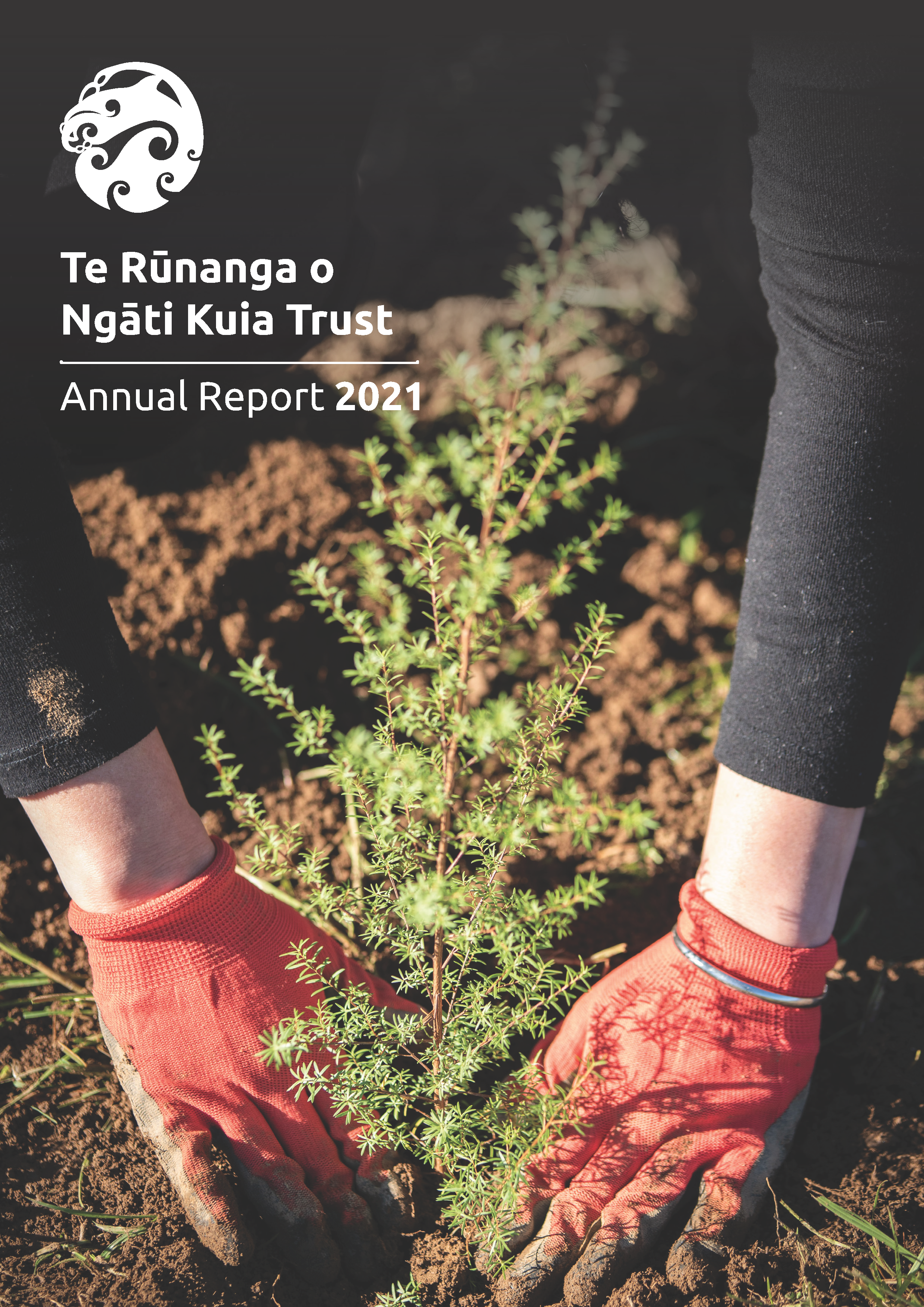 annual-report-2021.png