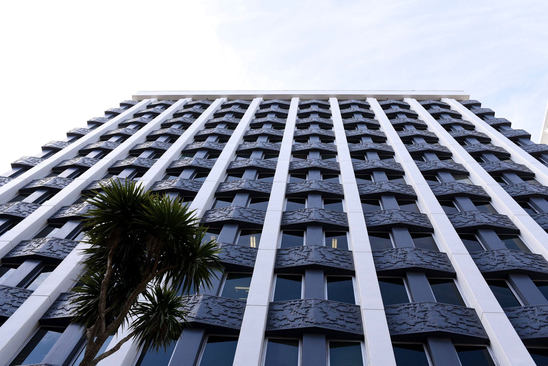 ngāti-kuia-wellington-hq.jpeg
